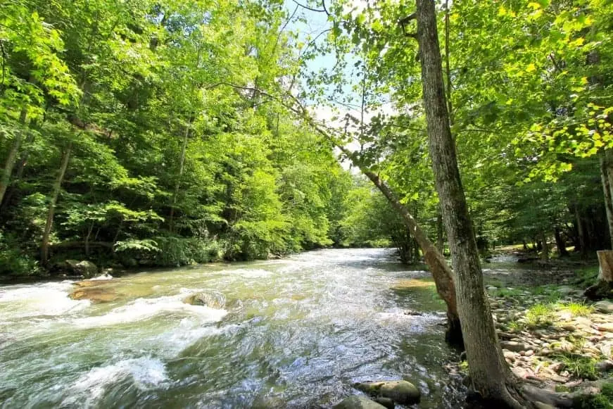 4 Incredible Gatlinburg Cabins on the River