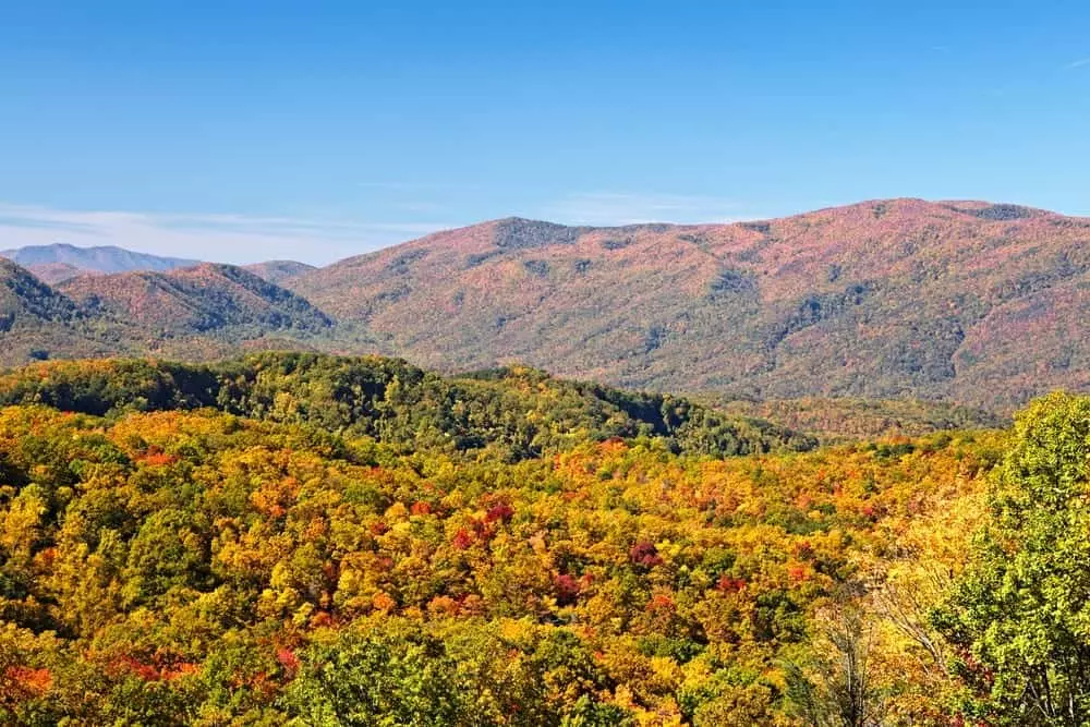 5 Gatlinburg TN Activities to Enjoy this Fall