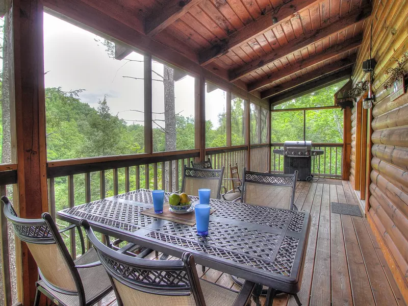 MAIN LEVEL BACK DECK (SCREENED)