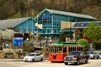 ripley's aquarium is one of the ripley's attractions in gatlinburg tn